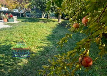 Foto 5 - Villa a Schiera VIA GRAZIA DELEDDA
 
23, Sala Bolognese - foto 5