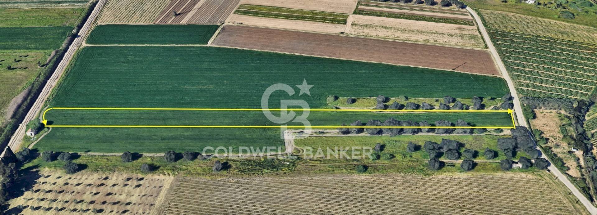 Foto 1 - Agricultural land Contrada Scalella, Brindisi - photo 1