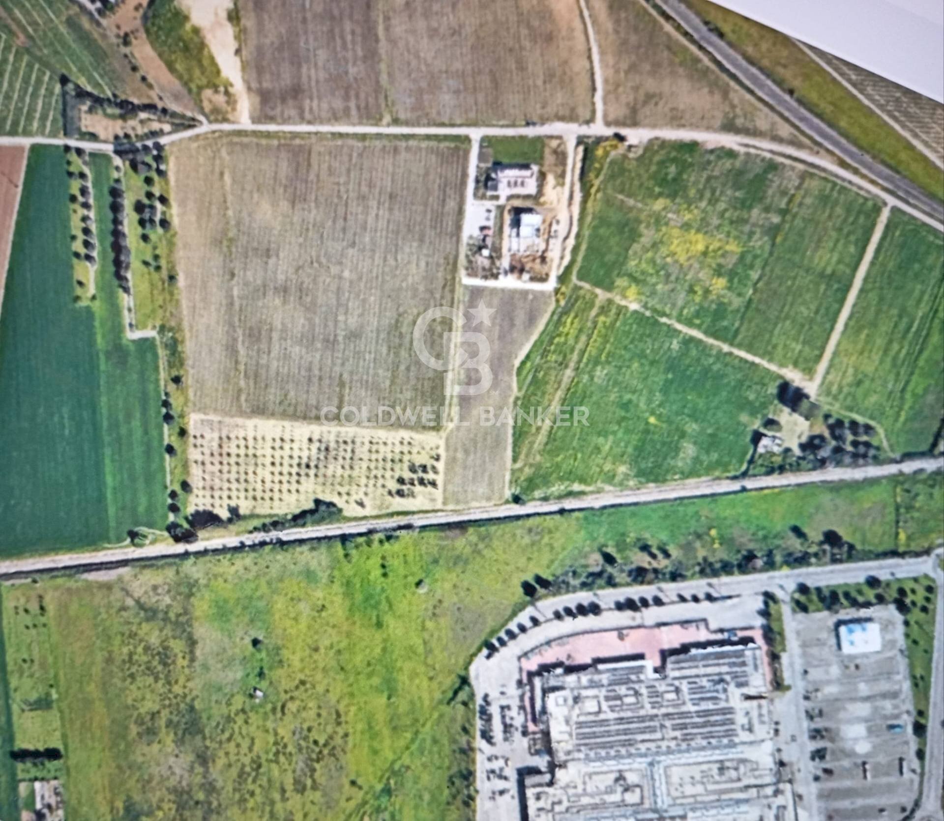 Foto 3 - Agricultural land Contrada Scalella, Brindisi - photo 3