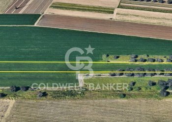 Foto 1 - Terreno agricolo Contrada Scalella, Brindisi - foto 1