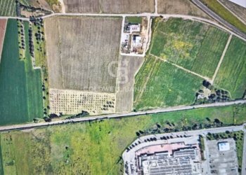 Foto 3 - Terreno agricolo Contrada Scalella, Brindisi - foto 3