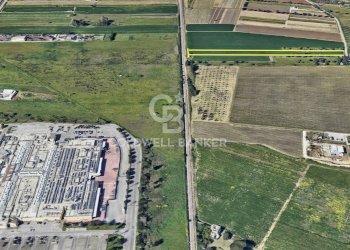 Foto 4 - Terreno agricolo Contrada Scalella, Brindisi - foto 4