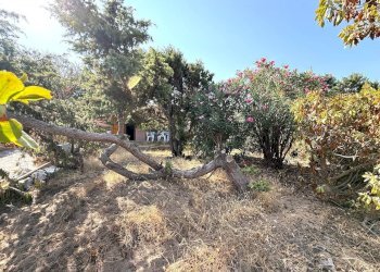 Foto 50 - Casa semi indipendente Via al mare, Trinità d'Agultu e Vignola - foto 50