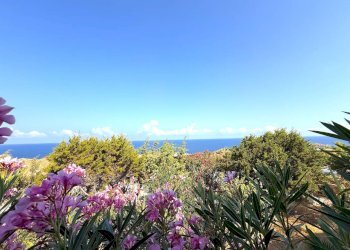 Foto 54 - Casa semi indipendente Via al mare, Trinità d'Agultu e Vignola - foto 54