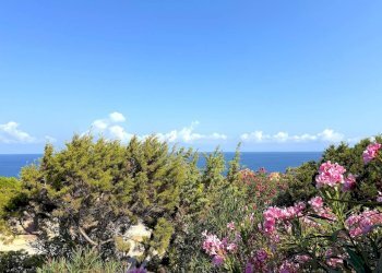 Foto 56 - Casa semi indipendente Via al mare, Trinità d'Agultu e Vignola - foto 56