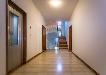 Hall / corridoio - Appartamento Viale Timavo
 
57, Reggio nell'Emilia - foto 17