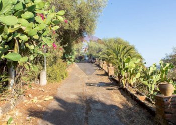 Giardino - Villa Via Francesco Caracciolo
 
36, Misterbianco - foto 30