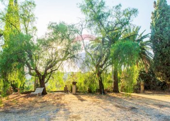 Giardino - Villa Via Francesco Caracciolo
 
36, Misterbianco - foto 32