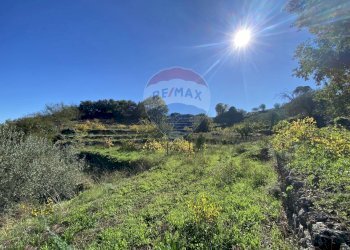 Vista delle montagne - Rustic strada provinciale 7ii
 
29, Castiglione di Sicilia - photo 37