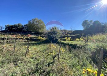 Giardino - Rustic strada provinciale 7ii
 
29, Castiglione di Sicilia - photo 42