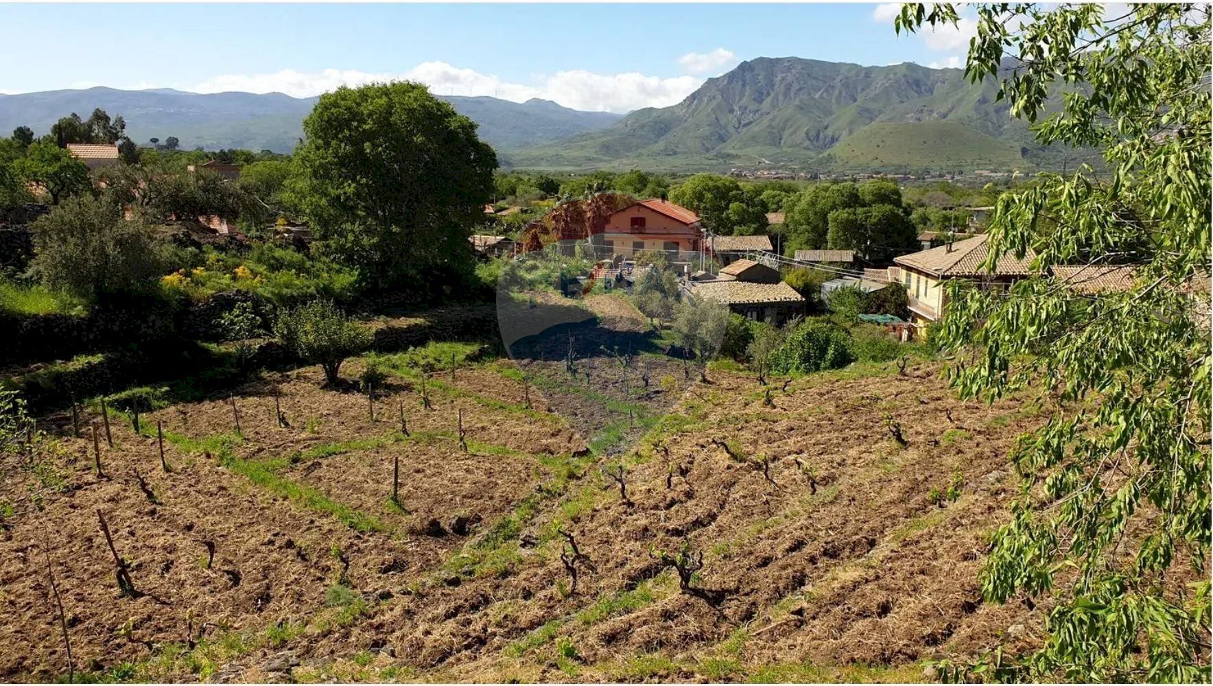Vista delle montagne - Agricultural land strada provinciale sp7ii
 
29, Castiglione di Sicilia - photo 3