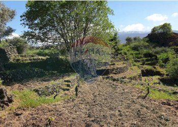 Giardino - Terreno agricolo strada provinciale sp7ii
 
29, Castiglione di Sicilia - foto 5