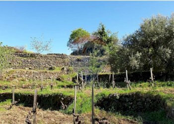 Vista delle montagne - Terreno agricolo strada provinciale sp7ii
 
29, Castiglione di Sicilia - foto 7