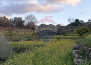 Vista delle montagne - Terreno agricolo strada provinciale sp7ii
 
29, Castiglione di Sicilia - foto 6