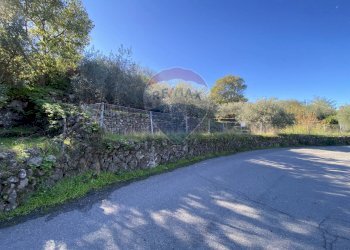 Non correlato - Terreno agricolo strada provinciale sp7ii
 
29, Castiglione di Sicilia - foto 23
