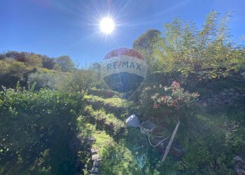 Vista delle montagne - Terreno agricolo strada provinciale sp7ii
 
29, Castiglione di Sicilia - foto 35