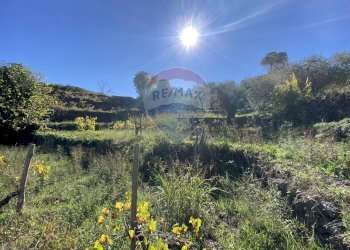 Vista delle montagne - Terreno agricolo strada provinciale sp7ii
 
29, Castiglione di Sicilia - foto 45