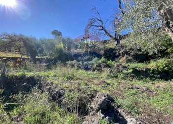 Vista delle montagne - Terreno agricolo strada provinciale sp7ii
 
29, Castiglione di Sicilia - foto 46