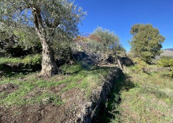 Giardino - Terreno agricolo strada provinciale sp7ii
 
29, Castiglione di Sicilia - foto 47