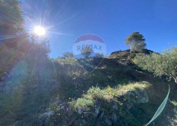 Vista delle montagne - Terreno agricolo strada provinciale sp7ii
 
29, Castiglione di Sicilia - foto 55