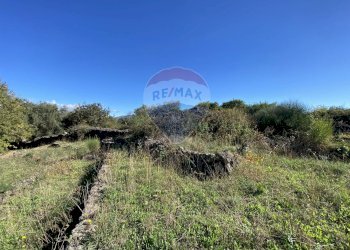 Vista delle montagne - Terreno agricolo strada provinciale sp7ii
 
29, Castiglione di Sicilia - foto 57