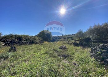 Vista delle montagne - Terreno agricolo strada provinciale sp7ii
 
29, Castiglione di Sicilia - foto 64