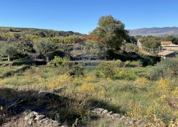 Vista delle montagne - Terreno agricolo strada provinciale sp7ii
 
29, Castiglione di Sicilia - foto 68