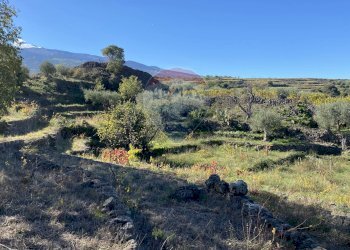 Vista delle montagne - Terreno agricolo strada provinciale sp7ii
 
29, Castiglione di Sicilia - foto 69