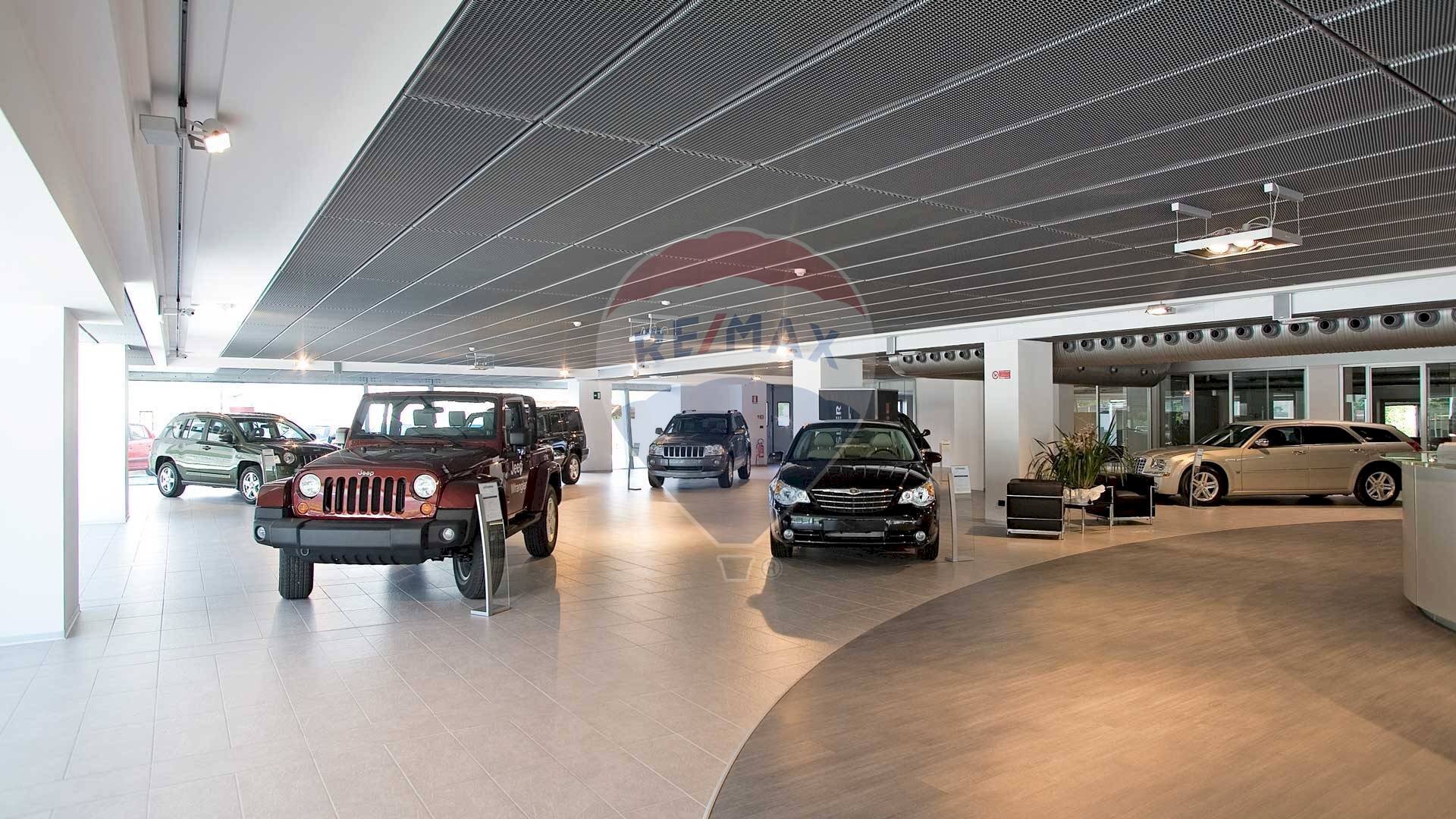 Palestra - Attività Commerciale Rovigo - foto 1