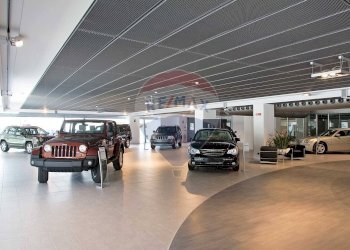 Palestra - Attività Commerciale Rovigo - foto 1