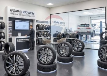 Palestra - Attività Commerciale Rovigo - foto 2