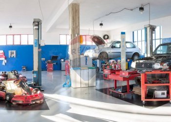 Palestra - Attività Commerciale Rovigo - foto 5