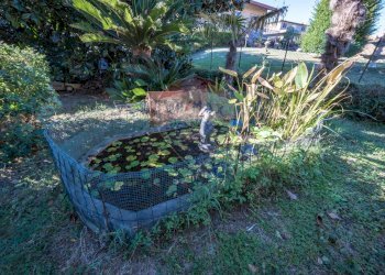 Giardino - Villa Vicolo Anita Garibaldi
 
6, Occhiobello - foto 26