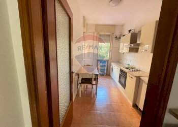 Cucina - Quadrilocale Ferrara - foto 7