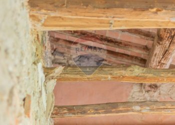 Dettagli - Appartamento Semproniano - foto 19