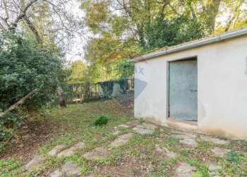 Giardino - Appartamento Semproniano - foto 30