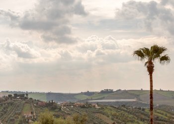 Foto 31 - Villa Via Monti Sabini
 
124, Monterotondo - photo 31