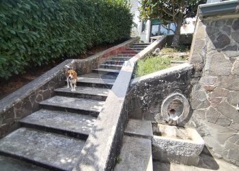 Scale - Casa semi indipendente Morcone - foto 7