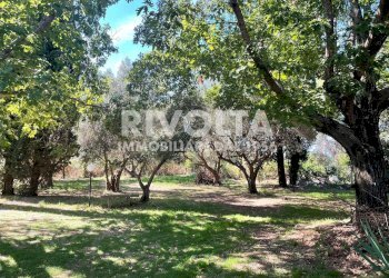 Foto 5 - Villa strada signorino, Viterbo - foto 5