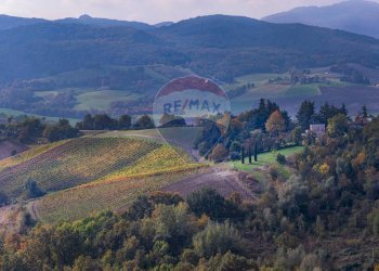 Vista delle montagne - Casa semi indipendente VIA CASE BELLI
 
1, Felino - foto 37
