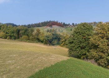 Vista delle montagne - Casa semi indipendente VIA CASE BELLI
 
1, Felino - foto 42