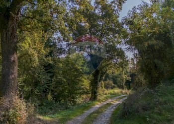 Giardino - Casa semi indipendente VIA CASE BELLI
 
1, Felino - foto 48