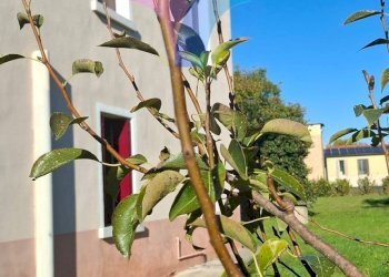 Foto 7 - Villa via Spine'
 
2, Oderzo - photo 7