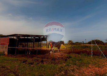 Giardino - Villa via Roma
 
120 a, Misilmeri - photo 28