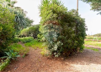 Giardino - Villa via Roma
 
120 a, Misilmeri - photo 32