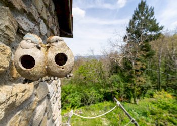 Foto 5 - Casa semi indipendente Via della Torre
 
31, Fabbriche di Vergemoli - foto 5