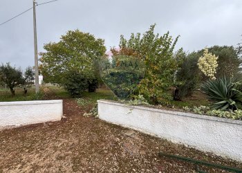 Giardino - Baita Contrada La Falascusa
 
snc, Ceglie Messapica - foto 15