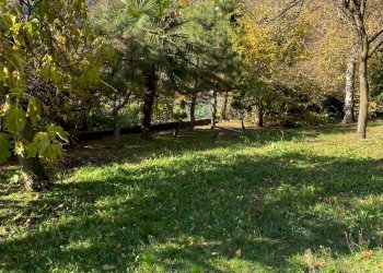 Foto 13 - Casa indipendente Via Trucco Rossato
 
46, Val della Torre - foto 13