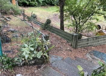 Foto 14 - Casa indipendente Via Trucco Rossato
 
46, Val della Torre - foto 14