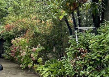 Foto 15 - Casa indipendente Via Trucco Rossato
 
46, Val della Torre - foto 15